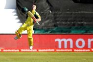 David Warner